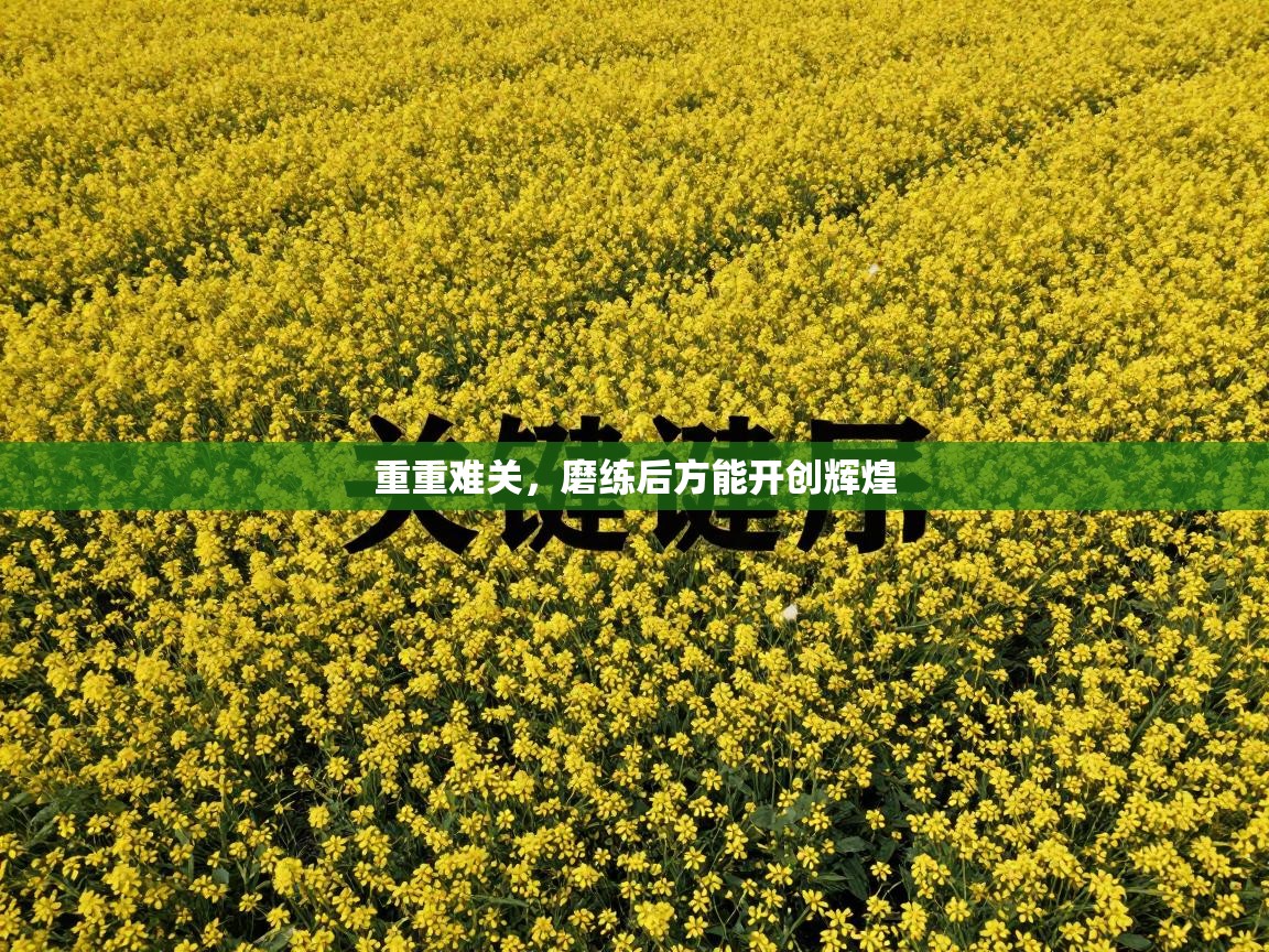 重重难关，磨练后方能开创辉煌