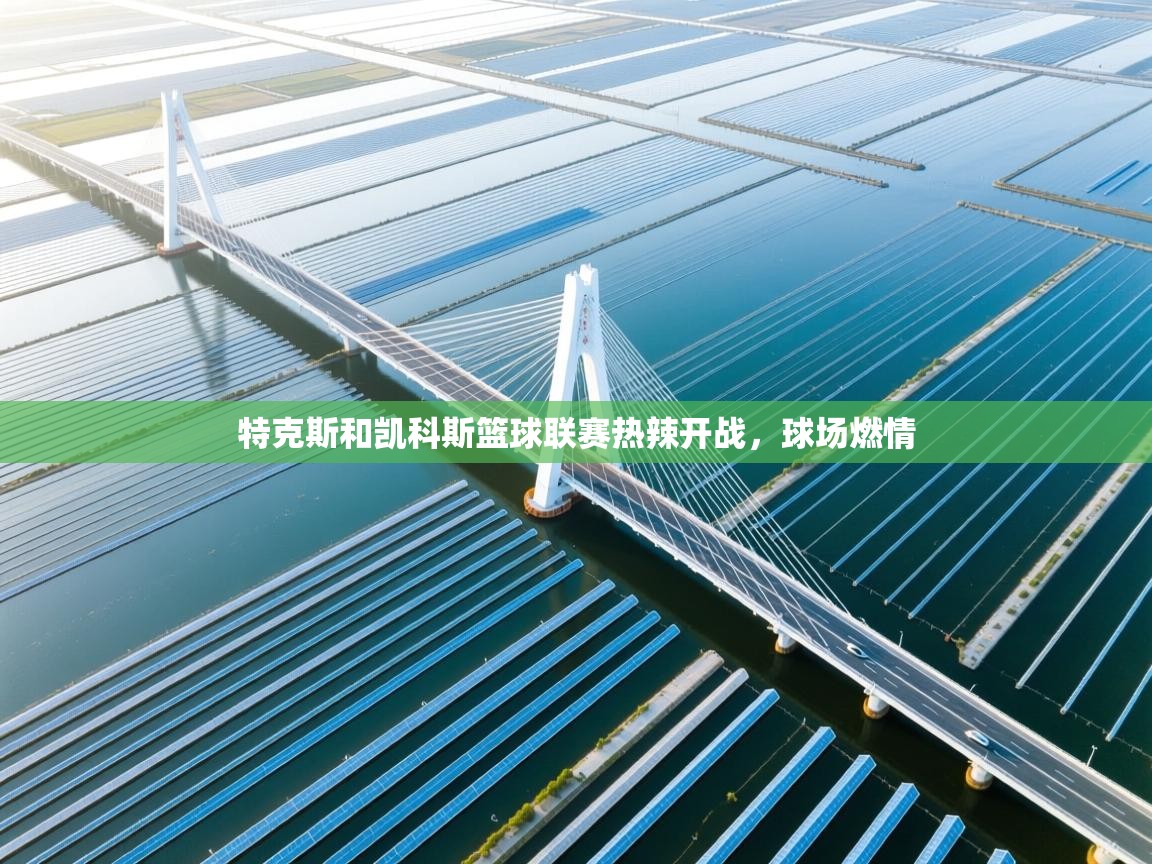 特克斯和凯科斯篮球联赛热辣开战，球场燃情