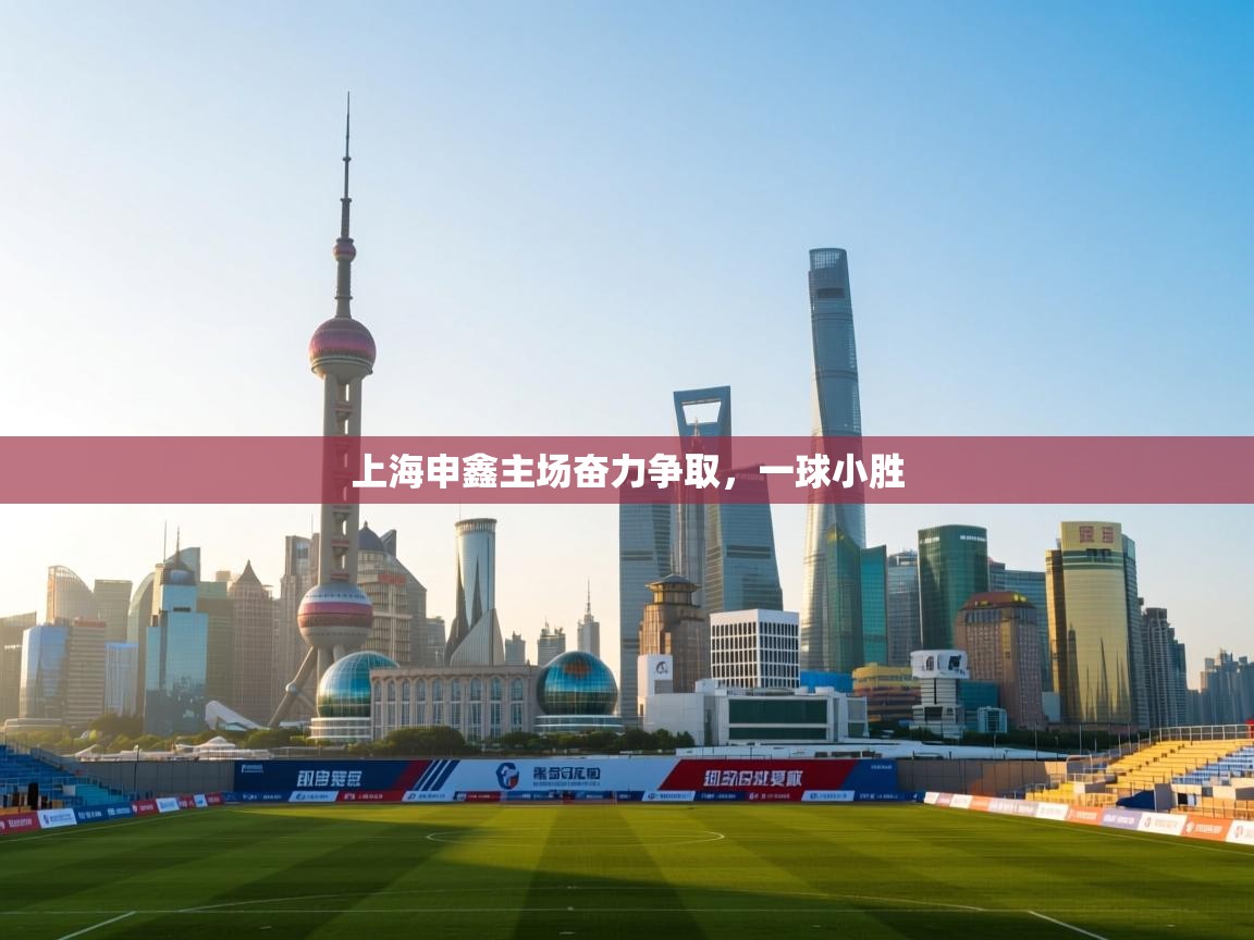 上海申鑫主场奋力争取，一球小胜